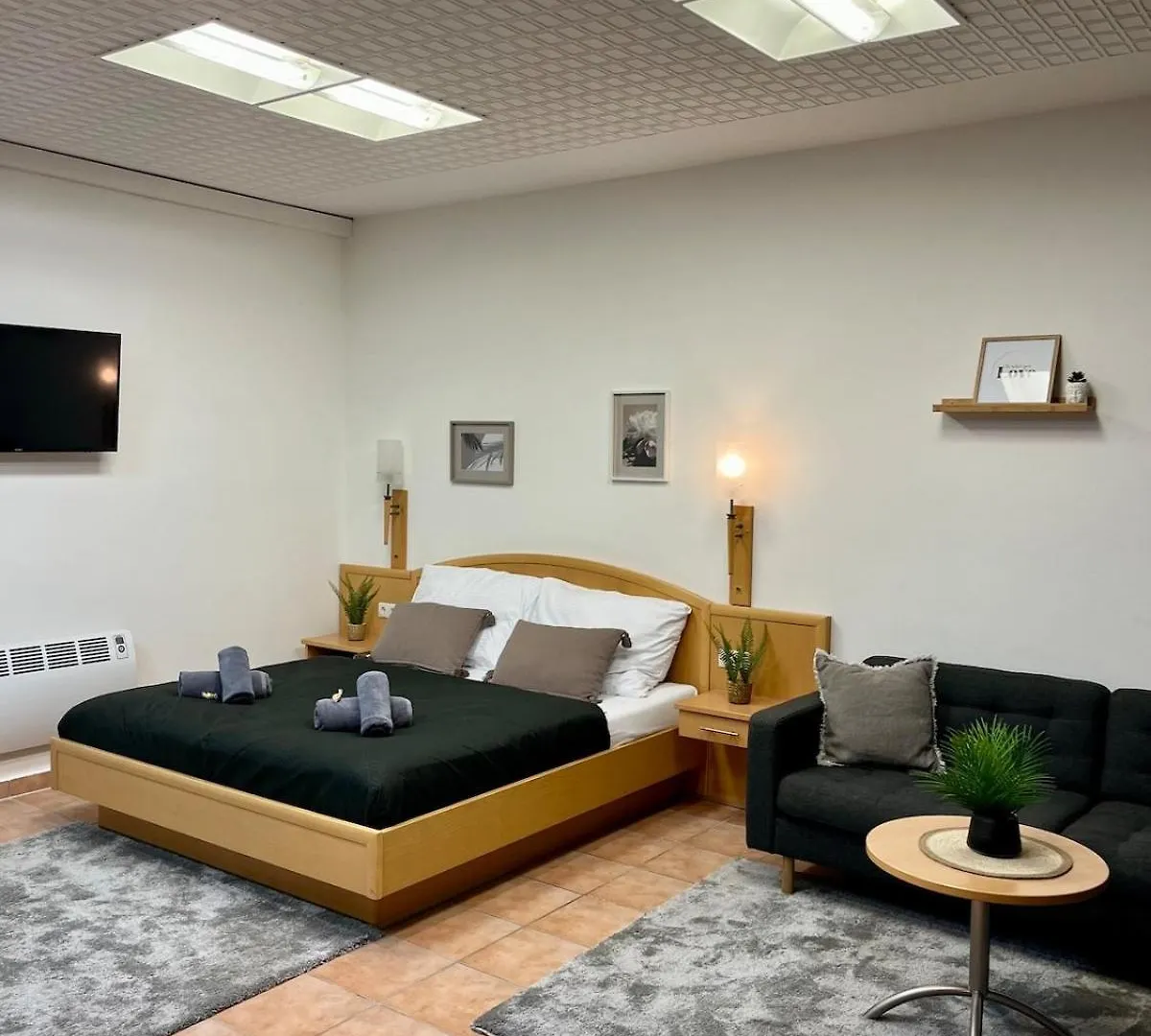 Spacious Apartment In Vienna Center